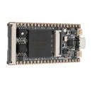 Lichee Tang 64Mbit SDRAM RISC-V Development Board Mini PC + FT2232D JTAG USB RV Debugger