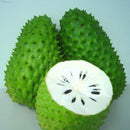 Egrow 20Pcs/Pack Soursop Seeds Graviola Guanabana Annona Muricata Garden Rare Fruit Tree Seed