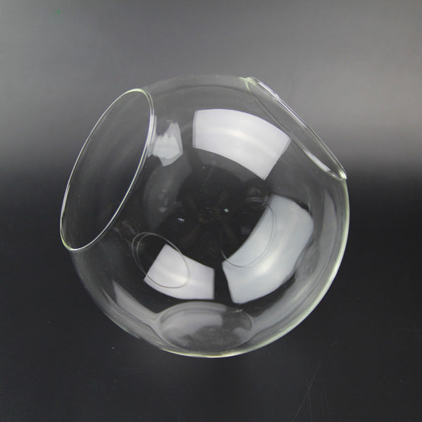 Ball Shaped DIY Moss Micro Landscape Glass Bottle Double Holes Succulent Plants Vase Home Decoration