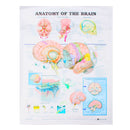 60x80cm Anatomy Of The Brain Poster Anatomical Silk Cloth Chart Human Body Midcal Educational Decor