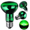 E27 R63 25W 40W 50W 60W 75W 100W Green Night Amphibian Snake Lamp Heat Reptil Light Bulb AC220-240V