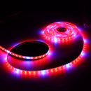 DC12V Red:Blue 3:1 4:1 5:1 5M SMD5050 Non-Waterproof LED Strip Grow Plant Light