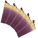 Zhuting 50 Multi Colors Nylon Practical Writing Brush Set