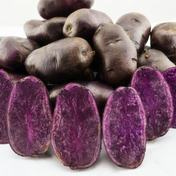 Egrow 100Pcs/Pack Purple Sweet Potato Seeds Nutrition Green Vegetable Bonsai Farm Plants