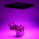 45W 225 LED Full Spectrum Grow Light Lamp for Plant Flower AC85-265V