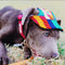 Summer Pet Dog Cute Print Cap Baseball Hat Small Dog Outdoor Hat Baseball Cap Pet Grooming Dog Hat Pets Accessories For Dogs Cats