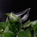 Plants Self Watering Device High Borosilicate Glass Automatic Watering Container