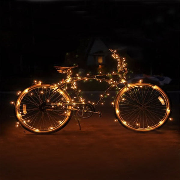 12V 5M 50LED Silver Wire Christmas String Fairy Light Remote Controller without Adapter