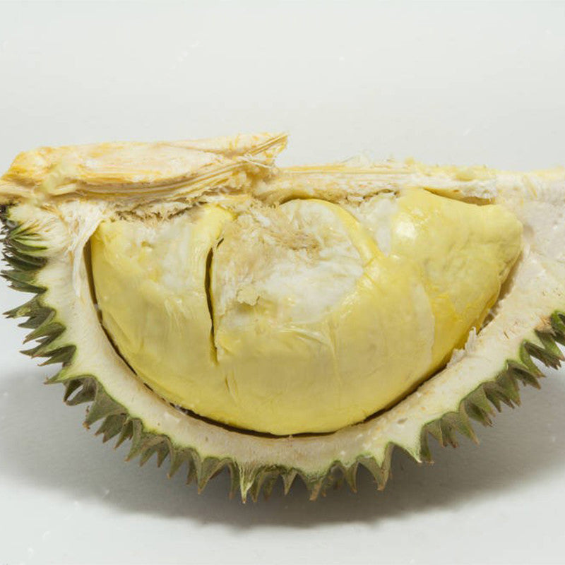 Egrow 5Pcs/Bag Durian Tree Seeds Delicious King Of Fruit Seeds High-nutrition Rare Bonsai Seeds