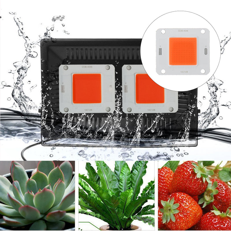 LUSTREON 20W 30W 50W Full Spectrum 380-840NM COB Plant Grow Light LED Chip DC30-40V