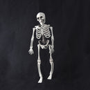 15cm Skeleton Escape Haunted House Halloween Skull Decoration Hanging Plastic Skeletons Tricky
