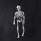 15cm Skeleton Escape Haunted House Halloween Skull Decoration Hanging Plastic Skeletons Tricky