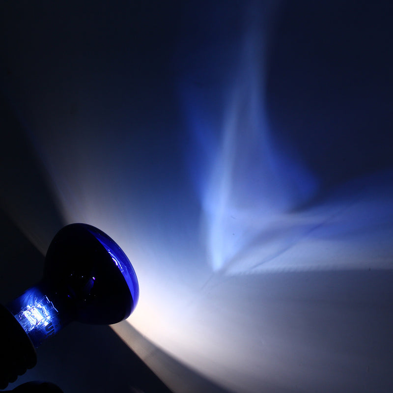 E27 25/40/50/60/75/100W R63 Blue Shell Emitter Lamp Heat Reptile Bulb Light AC220-240V