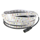 5M 30W LED Strip Flexible Light 300 SMD 5630 White/Warm White/Red/Blue with DC Female 12V