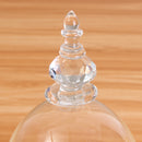 Glass Display Dome Cloche Box with Wooden Base Inspired By Beauty and the Beast