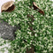 DIY Handmade Building Model Material Grass Tree Sponge Powder Green Mixture Pollen