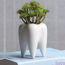 7x10cm Tooth Shape Flower Pot Succulent Plant Storage Ceramic Gardening Potted Creative Home Decor