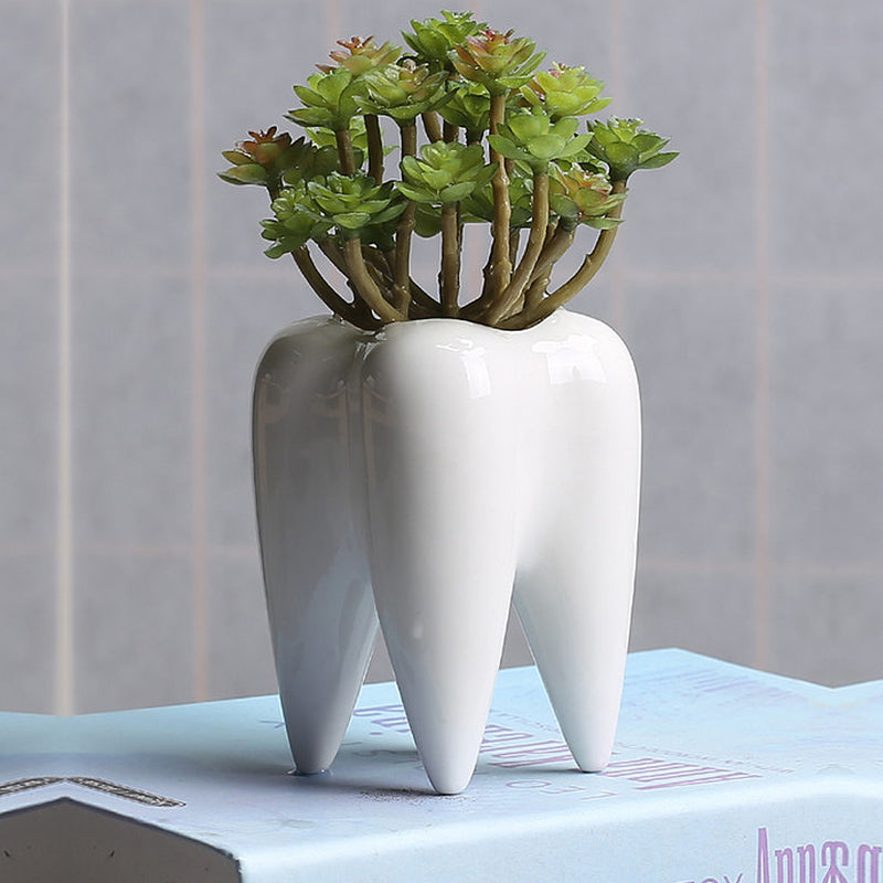 7x10cm Tooth Shape Flower Pot Succulent Plant Storage Ceramic Gardening Potted Creative Home Decor