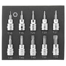3/8 Inch Drive Socket 10pcs T10-T55 Torx Socket 9pcs H2-H10 Hex Socket Bit Set
