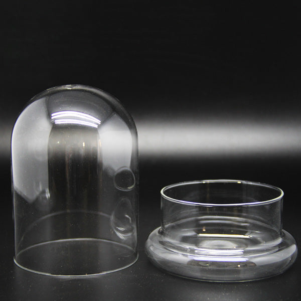 Cylinder Shaped DIY Moss Micro Landscape Glass Bottle Succulent Plants Vase Home Decoration