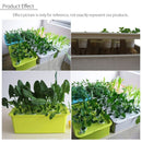 220V 24 Holes Hydroponic System Kit Indoor Aerobic Soilless Cultivation Water Planting Grow Box