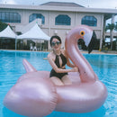 60inch Flamingo Inflatable Boat Float Swimming Ring Floating Bed Water Fun Toys