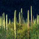 Egrow 100PCS/Pack Stone Cactus Seeds Succulents Raw Stone Cactus Bonsai Potted Flowers