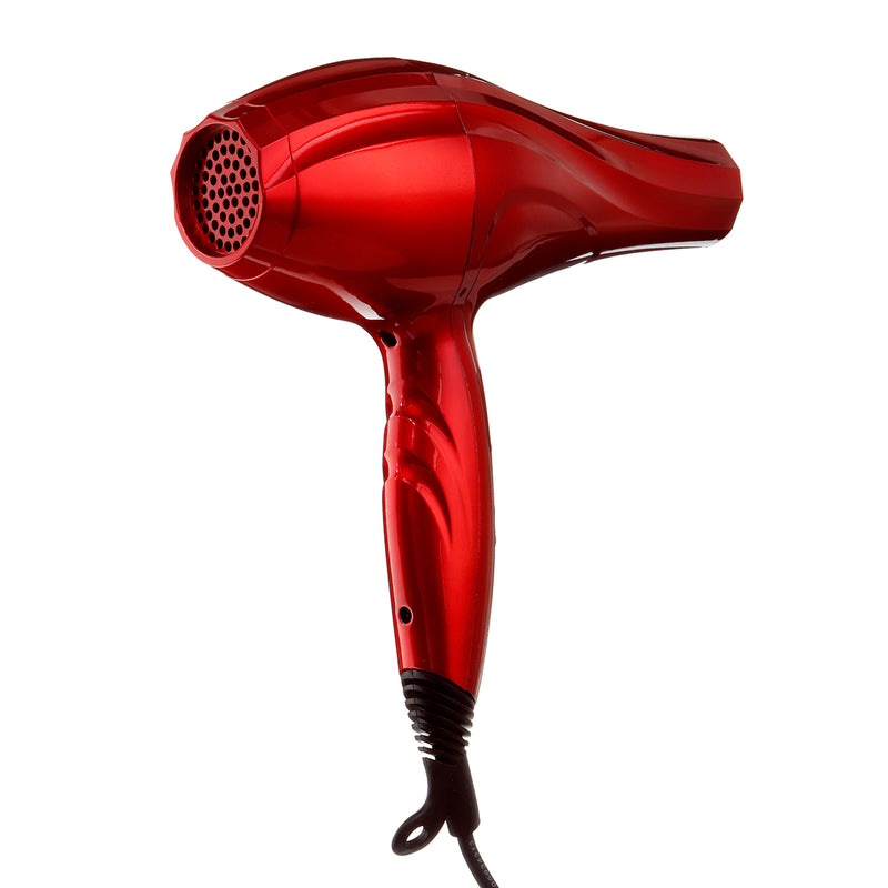 3000W Professional Hair Blow Dryer Blower Diffuser Salon Styling with Nozzles