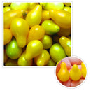 Egrow 100Pcs/Pack Tomato Seeds Beautiful Yellow Pear Tomato Bonsai Potted Organic Vegetable Fruit Tomato Plants