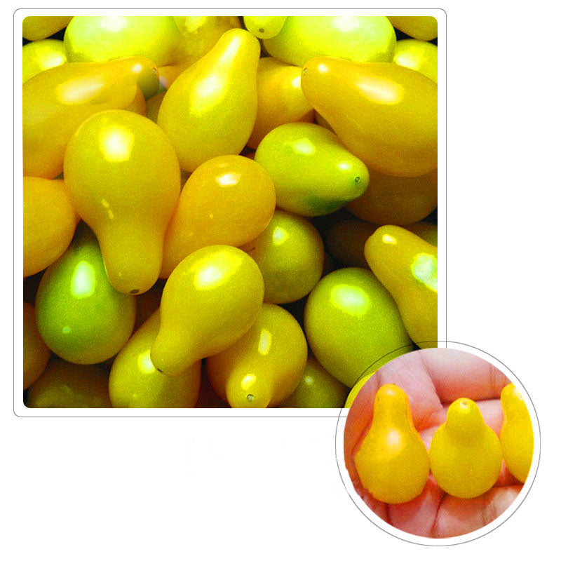 Egrow 100Pcs/Pack Tomato Seeds Beautiful Yellow Pear Tomato Bonsai Potted Organic Vegetable Fruit Tomato Plants