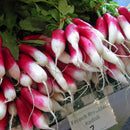 Egrow 100Pcs/Bag Sausage Radish Seeds Juicy And Nutritious Early Spring Radish Delicious Vegetable