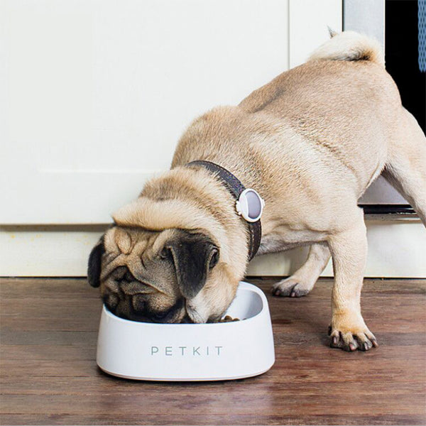 PETKIT Pet Smart Pet Fedding Bowl Automatic Weighing Food Dog Food Bowl Digital Feeding Bowl Stand Dog Feeder Drinking Bowls From Xiaomi Youpin