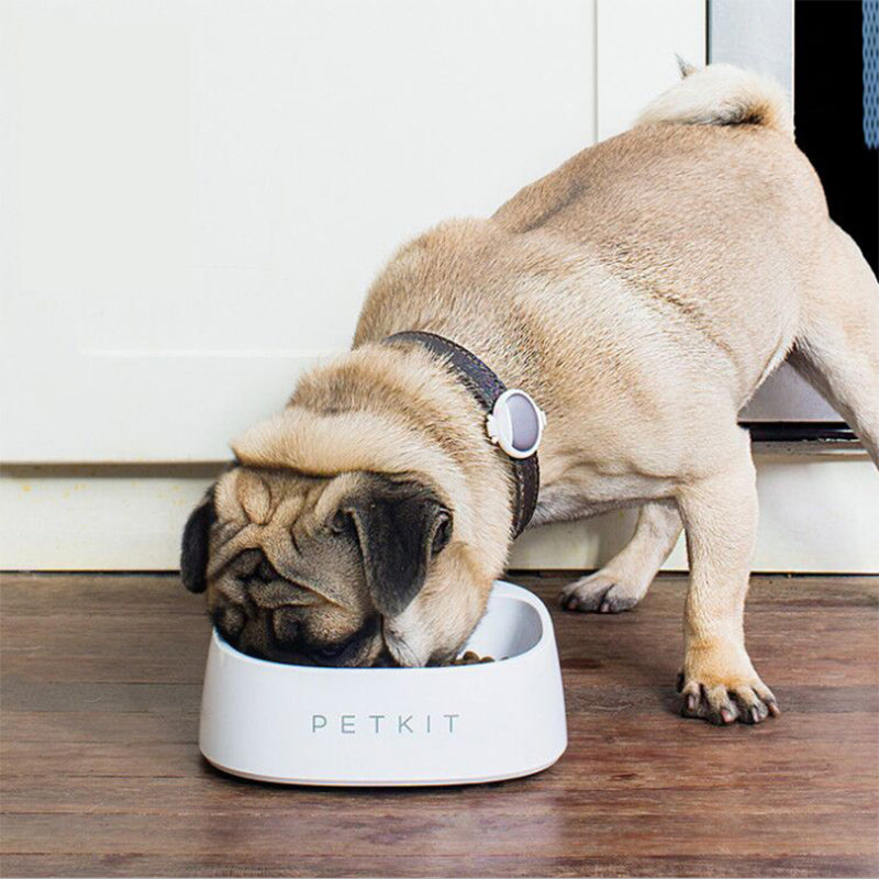 PETKIT Pet Smart Pet Fedding Bowl Automatic Weighing Food Dog Food Bowl Digital Feeding Bowl Stand Dog Feeder Drinking Bowls From Xiaomi Youpin