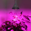 ZX 30W E27 Full Spectrum 40 LED Plant Grow Lamp Bulb Garden Greenhouse Plant Seedling Light