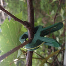 Honana HG-GT9 20Pcs Plastic Gardening Clip Plant Garden Flowers Vegetable Bushes Arrange Clips