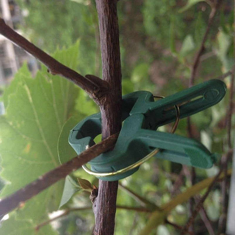 Honana HG-GT9 20Pcs Plastic Gardening Clip Plant Garden Flowers Vegetable Bushes Arrange Clips