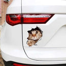3D Breaking Through The Wall Kit ten Toilet Puppy Small Cartoon Car Stickers