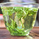 Egrow 100 Pcs/Pack Stevia Rebaudiana Seeds Stevia Herbs Plants Green Herb Stevia Rebaudiana For Garden Planting