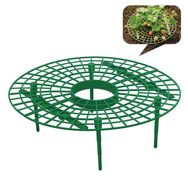 5Pcs Strawberry Plant Growing Supports Keep Strawberries Not Rot in the Rainy Day Plant Holder Tools Kit