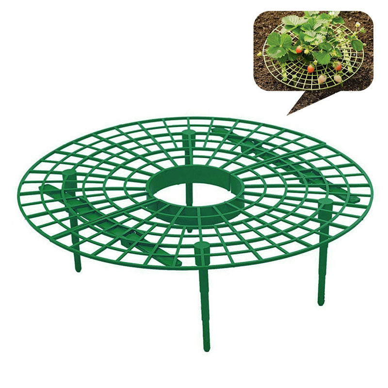 5Pcs Strawberry Plant Growing Supports Keep Strawberries Not Rot in the Rainy Day Plant Holder Tools Kit