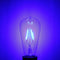 E27 ST64 Retro Edison LED 4W COB Squirrel Cage Colorful Filament Glass Light Lamp Bulb AC 220V