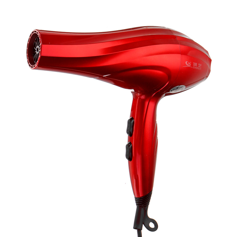 3000W Professional Hair Blow Dryer Blower Diffuser Salon Styling with Nozzles