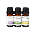 3pcs/6pcs 10ml Pure Natural Plant Extracts Essential Oils Set For Aromatherapy Diffusers Humidifier Air Lavender Tea Tree Lemongrass Rosemary Essential Oil