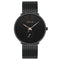 STRYVE S9501 Fshion Men Simple Dial Full Mesh Steel Strap Independent second Dial Quartz Watch