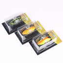 HENGJIA 1PCS Cicada-shaped Fishing Lure Rotating Tail Popper Topwater Swim Crankbait Artificial Hard Bait