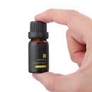 6 Pcs 10mL Aromatherapy Essential Oil Set 100% Pure kit Bottles Gift Box