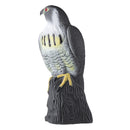 Simulation Eagle Hunting Bait Plastic Pendant Birds Scarer Plastic Birds American Falcon Decorations