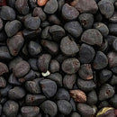 Egrow 20Pcs/Pack Morning Glory Seeds Heavenly Blue Flowers Gardening Path Decorations