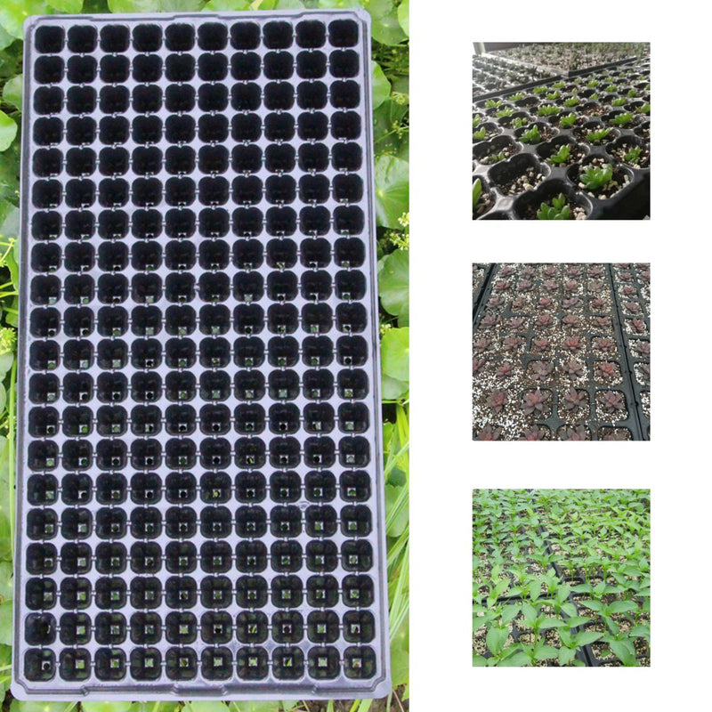 200 Holes Planting Seeds Grow Box Insert Propagation Nursery Seeding Starter