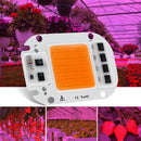 AC220V 20W 30W 50W LED Grow Light Chip DIY Full Spectrum for Hydroponics Greenhouse Plant Flowers